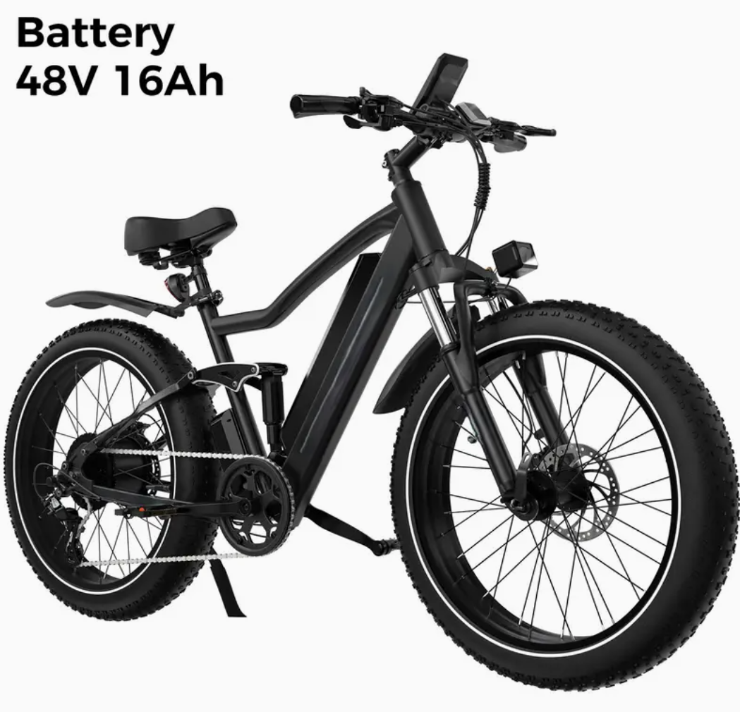 Electric Bicycle Pedelec for Ladies