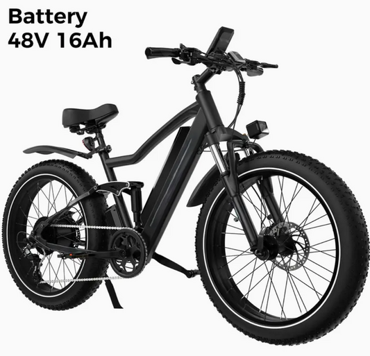 Electric Bicycle Pedelec for Ladies
